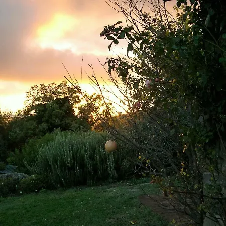 La Volpaia *